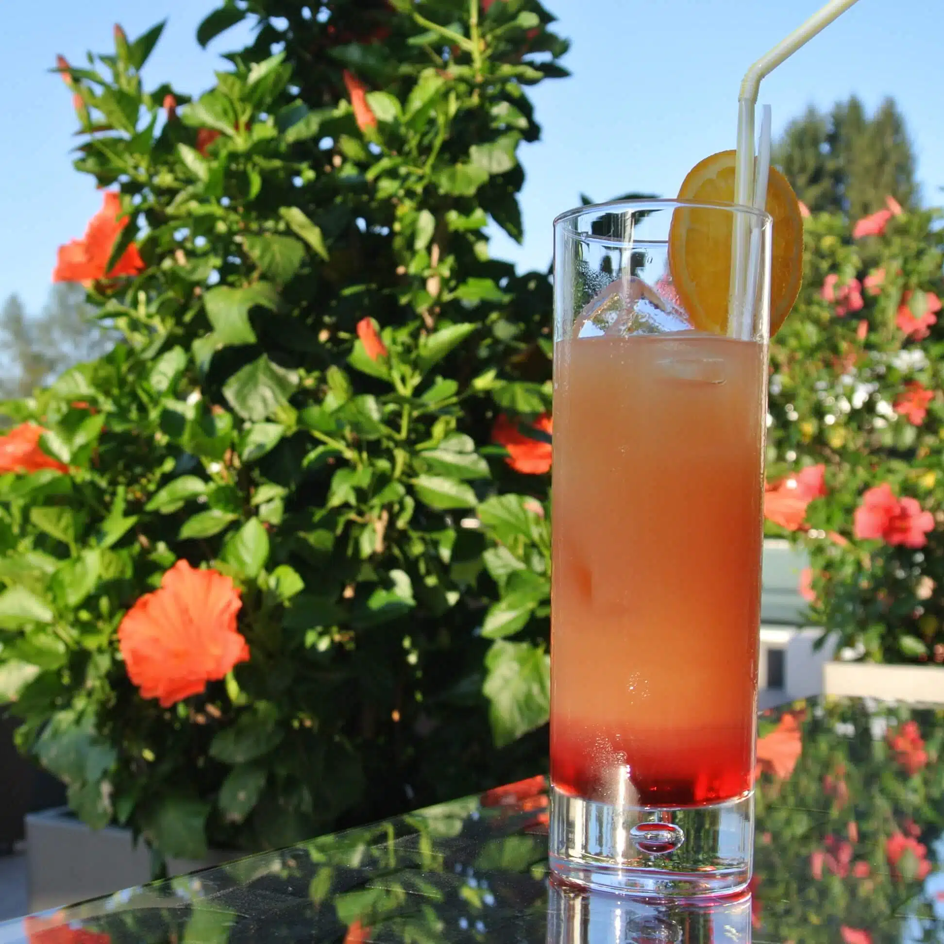 Erfrischungsgetränk auf der Terrasse im Dei Hotel Schönblick. Orang-Roter Cocktail, im Hintergrund sieht man orange Blumen.